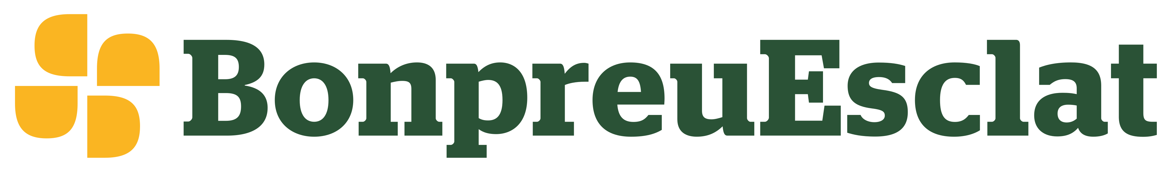 Logo de BonPreu Esclat Energia